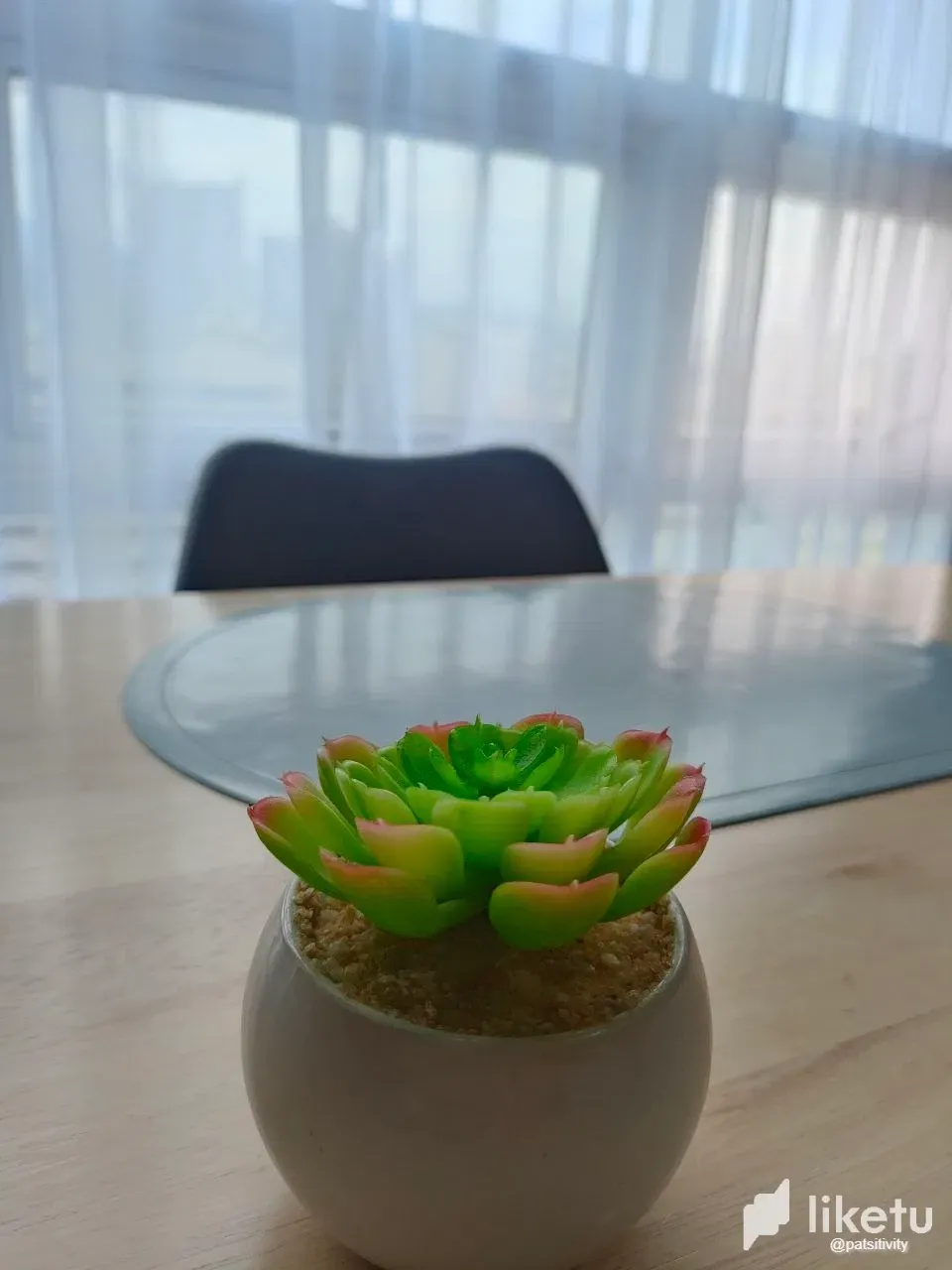f8XAx0gH7El3YNBf_photo_2025-01-22_18-04-06.webp