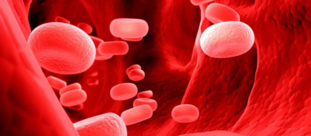 globulo-rosso-mxed9m12hjc033mbsu3xoimhqwsdv7i7nby45fgeqc.jpg