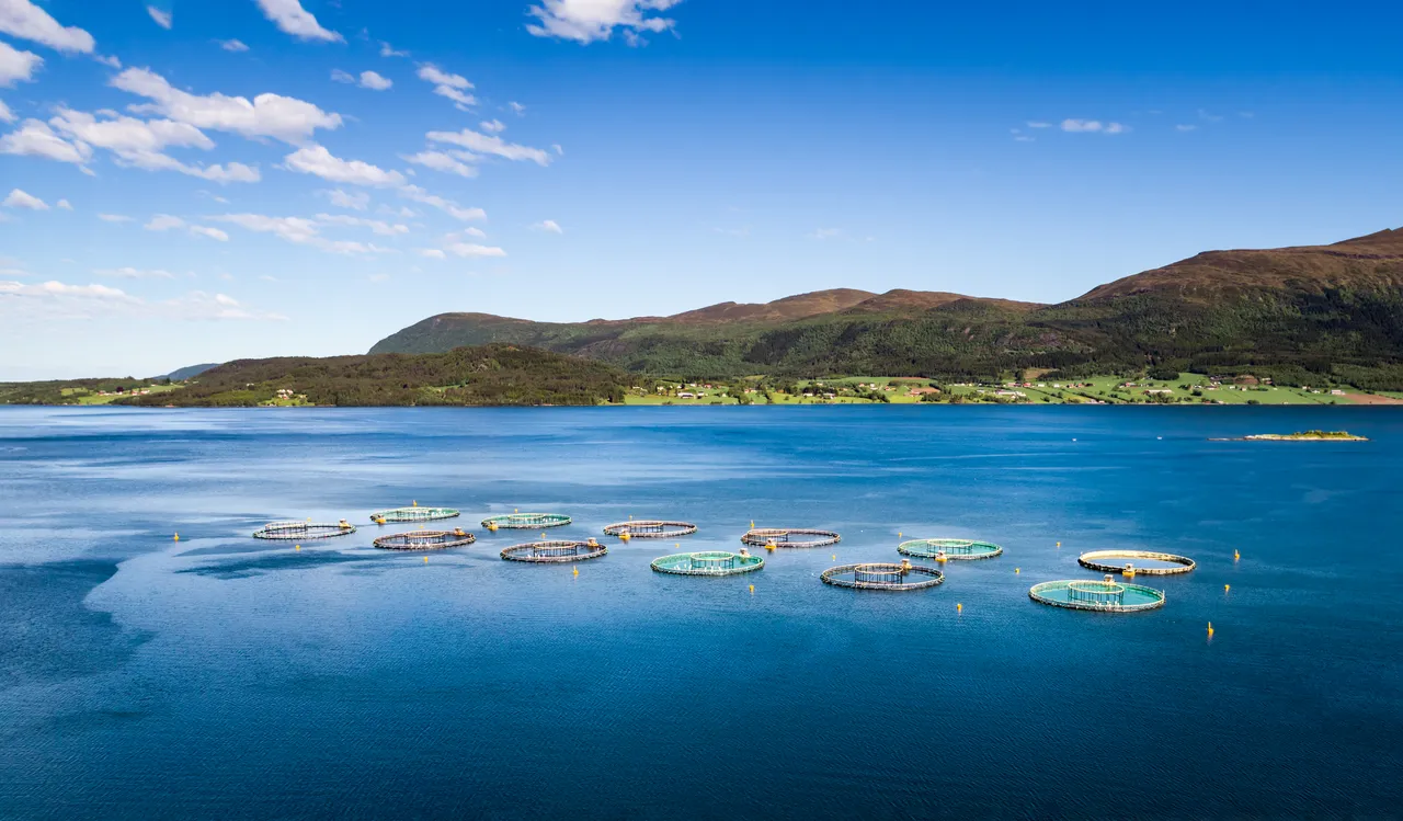 farm-salmon-fishing-aerial-fpv-drone-photography-PZ2KWAT.jpg