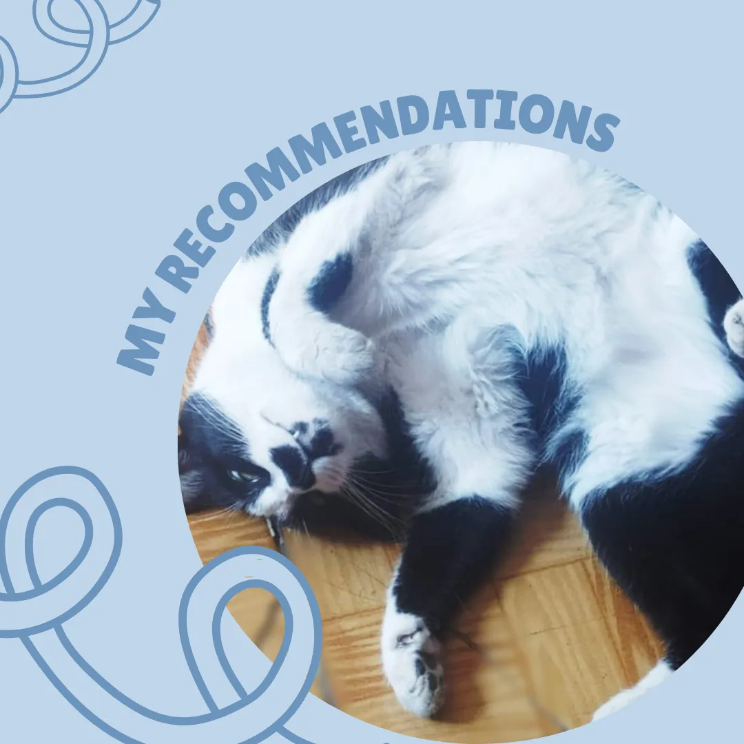 Post para Instagram Pet Shop Simple Celeste (7).png