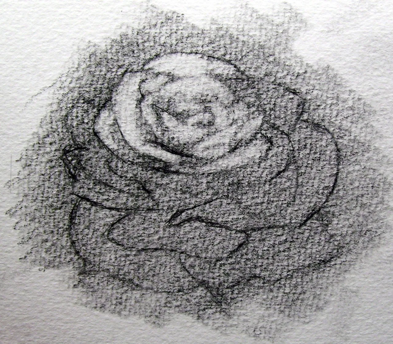 how-to-sketch-a-rose-step-5_5e4c87fce69d89.08501383_27031_3_3.jpg