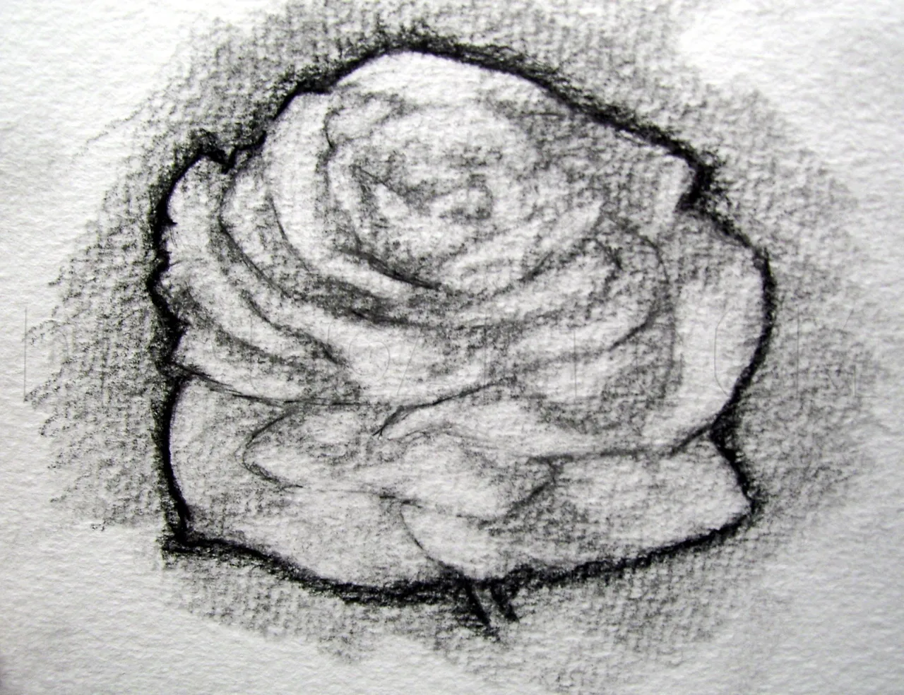 how-to-sketch-a-rose-step-6_5e4c87fd1719c5.77639903_27032_3_3.jpg