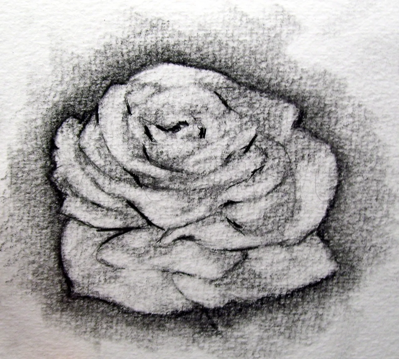 how-to-sketch-a-rose-step-7_5e4c87fd4bfb12.49954744_27033_3_3.jpg