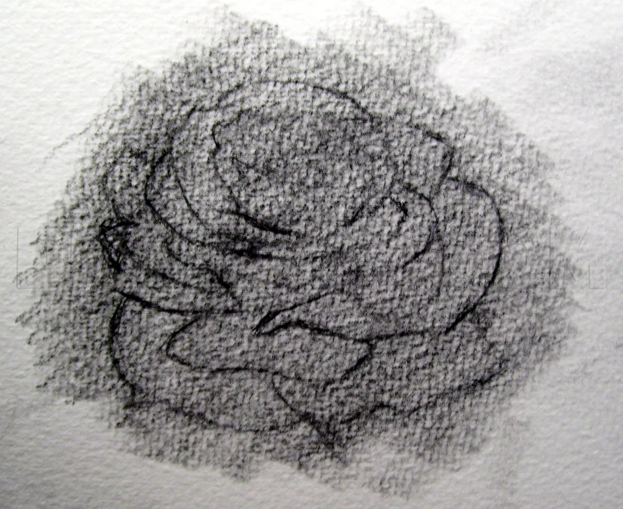 how-to-sketch-a-rose-step-4_5e4c87fcc40056.36645998_27030_3_3.jpg