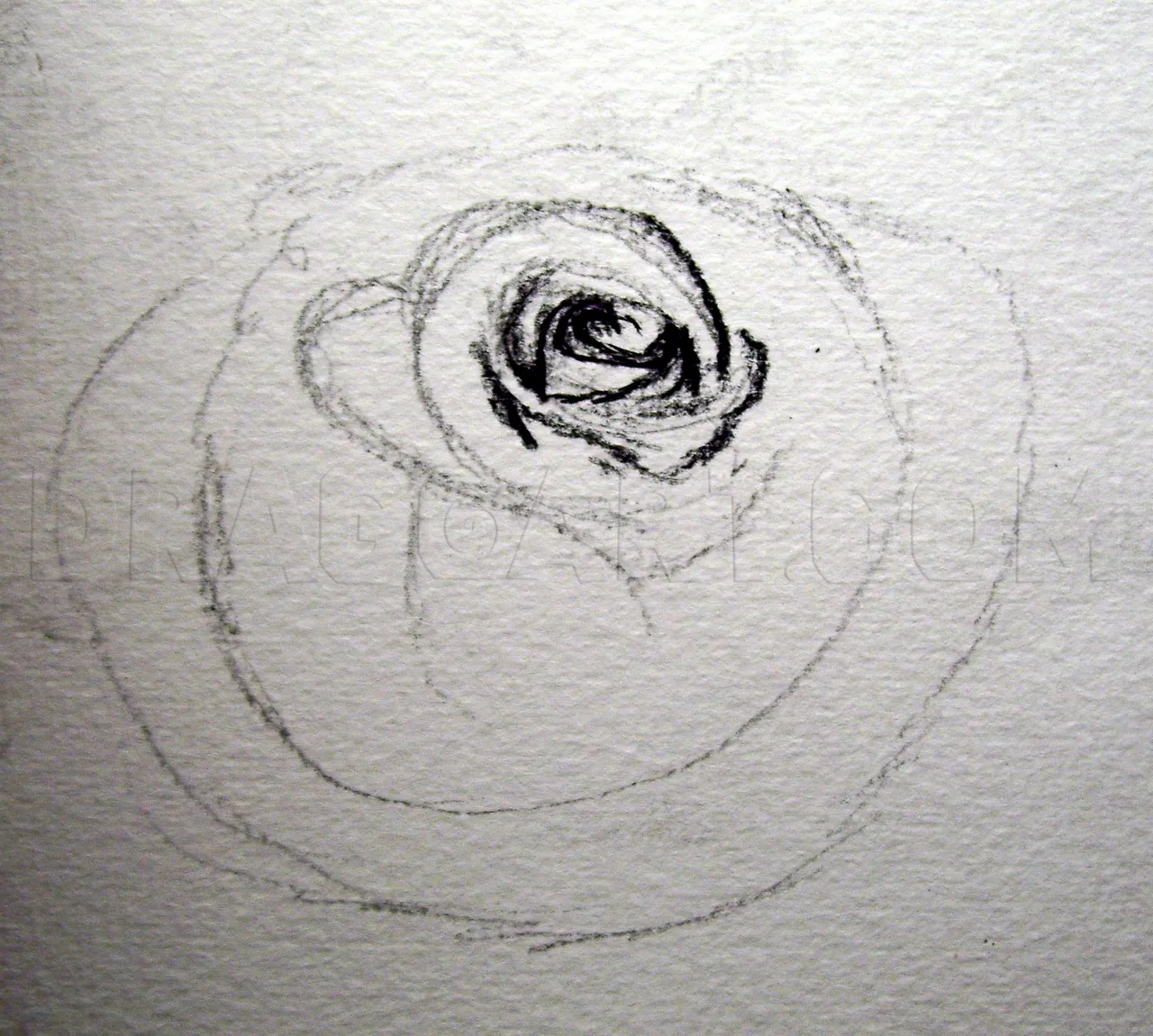 how-to-sketch-a-rose-step-9_5e4c87fd9d8942.70985864_27035_3_3.jpg