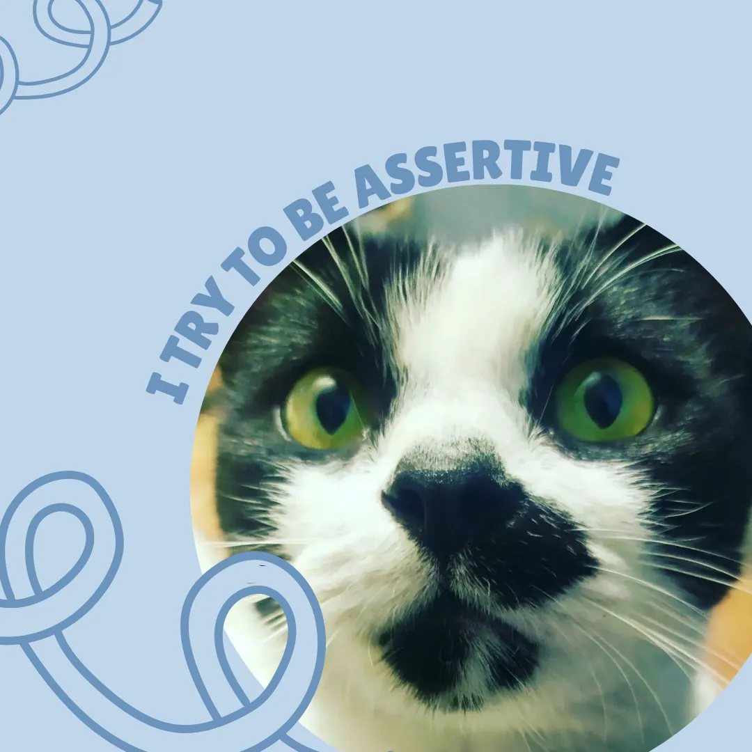 Post para Instagram Pet Shop Simple Celeste (6).png