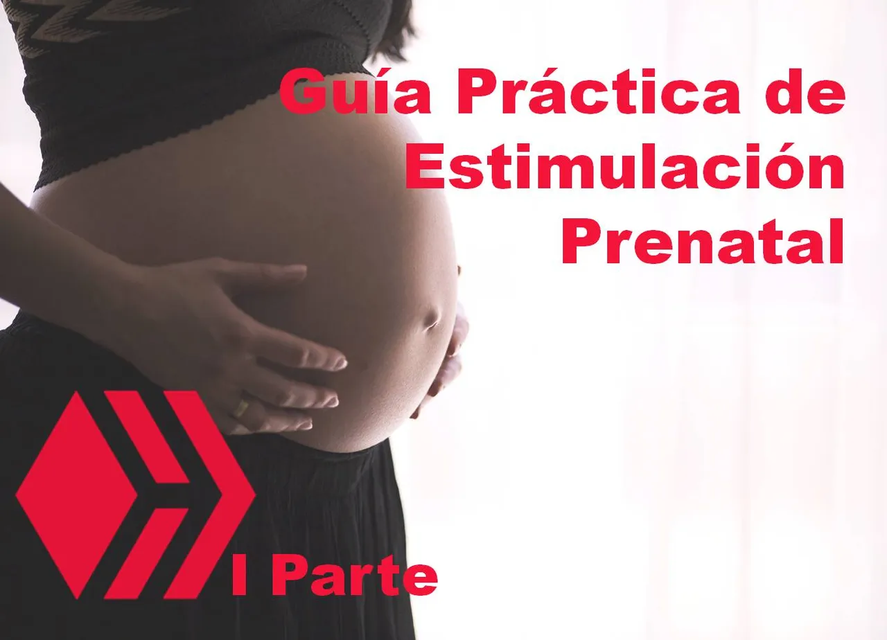 Guía práctica de Estimulación Prenatal.jpg