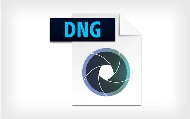 Adobe-Dng-Converter-Free-Download-For-Windows-10.jpg