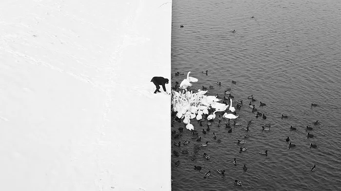 Unbelievable-Not-Photoshopped-Photos-Real-105-58b93f2b01f2a_.jpg