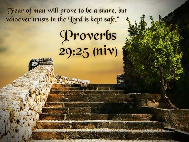 81470832cfa6e7972733db7dbc70b31f--book-of-proverbs-proverbs-.jpg