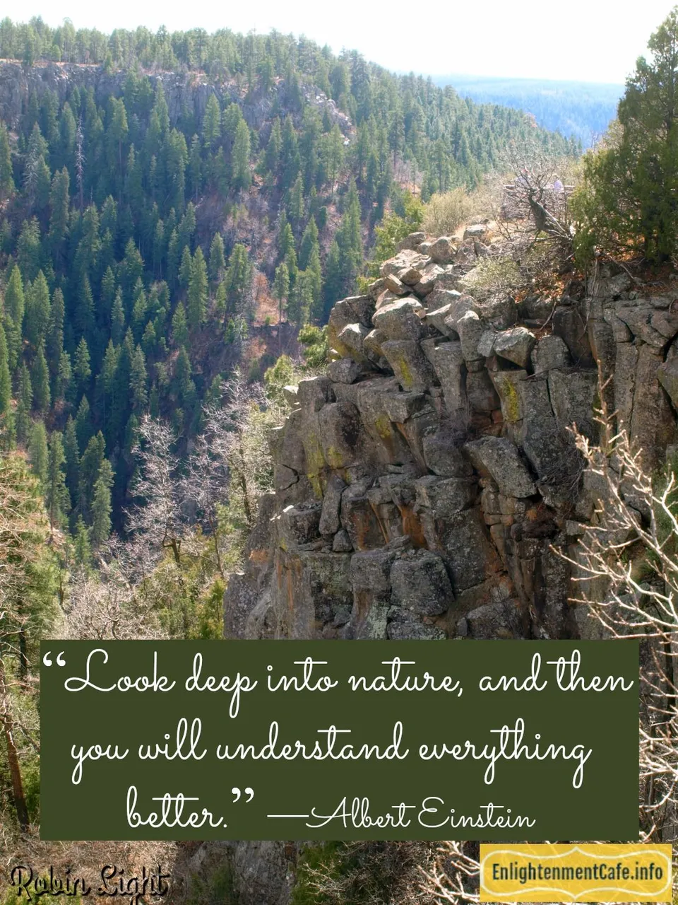 photo by Robin Light top of Oak Creek Canyon.jpg