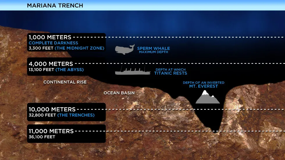 120228085332-mariana-trench-diagram-horizontal-large-gallery.jpg