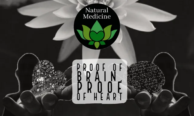 Screenshot_2020-05-02 Proof of Heart Proof of Brain The ONLY Way to Thrive in the Natural Medicine Hive — Hive.png