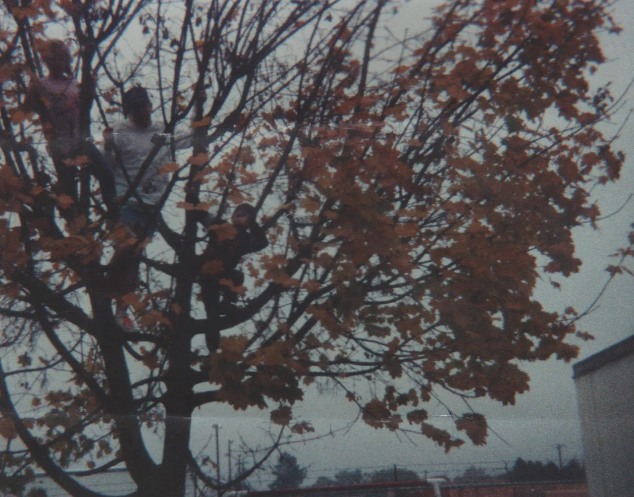 1991-07 - Nathan in the tree, Katie, Rick, it says 1991 but does not say which month but looks like the summer-1.png