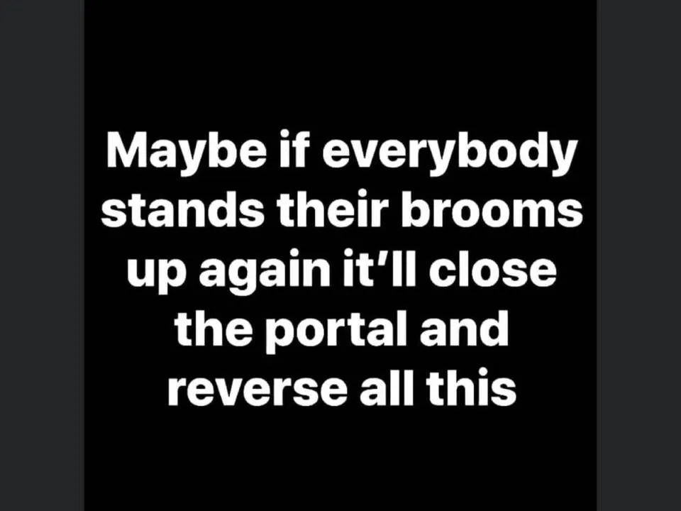 Image may contain: possible text that says 'Maybe if everybody stands their brooms up again it'll close the portal and reverse all this'