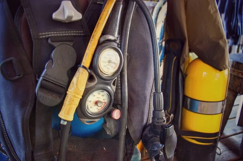 scuba certification in bocas del toro13