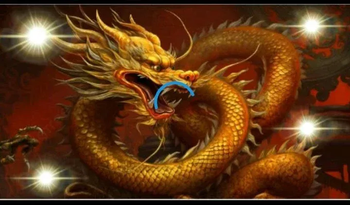 tjVZ6txmi2hY8hcK_dragon.webp