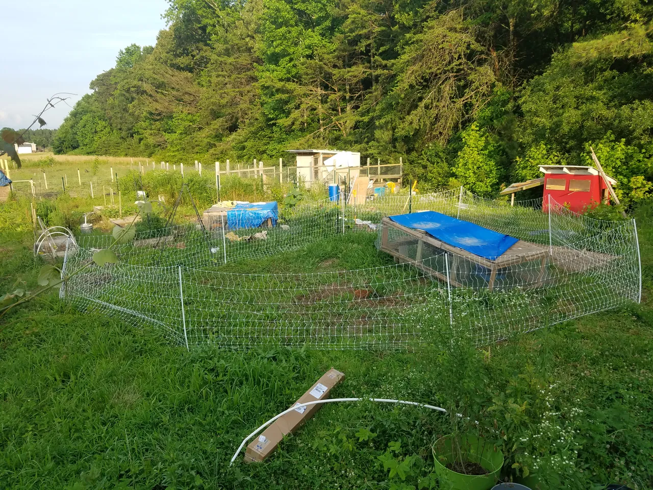 20180607_191732.jpg