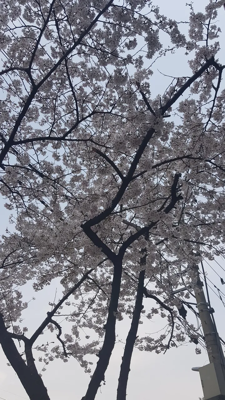 20190330_114153.jpg