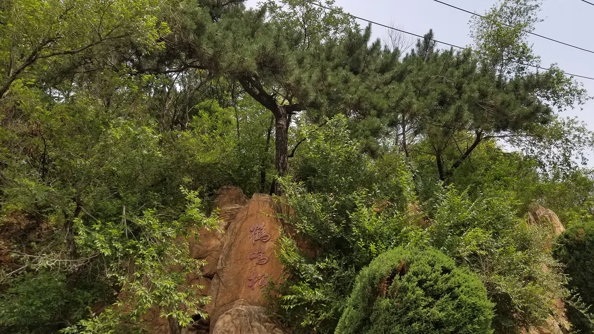 20180630_111102.jpg