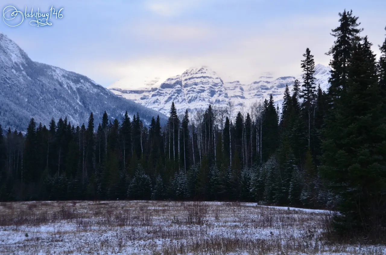 mount robson2.jpg