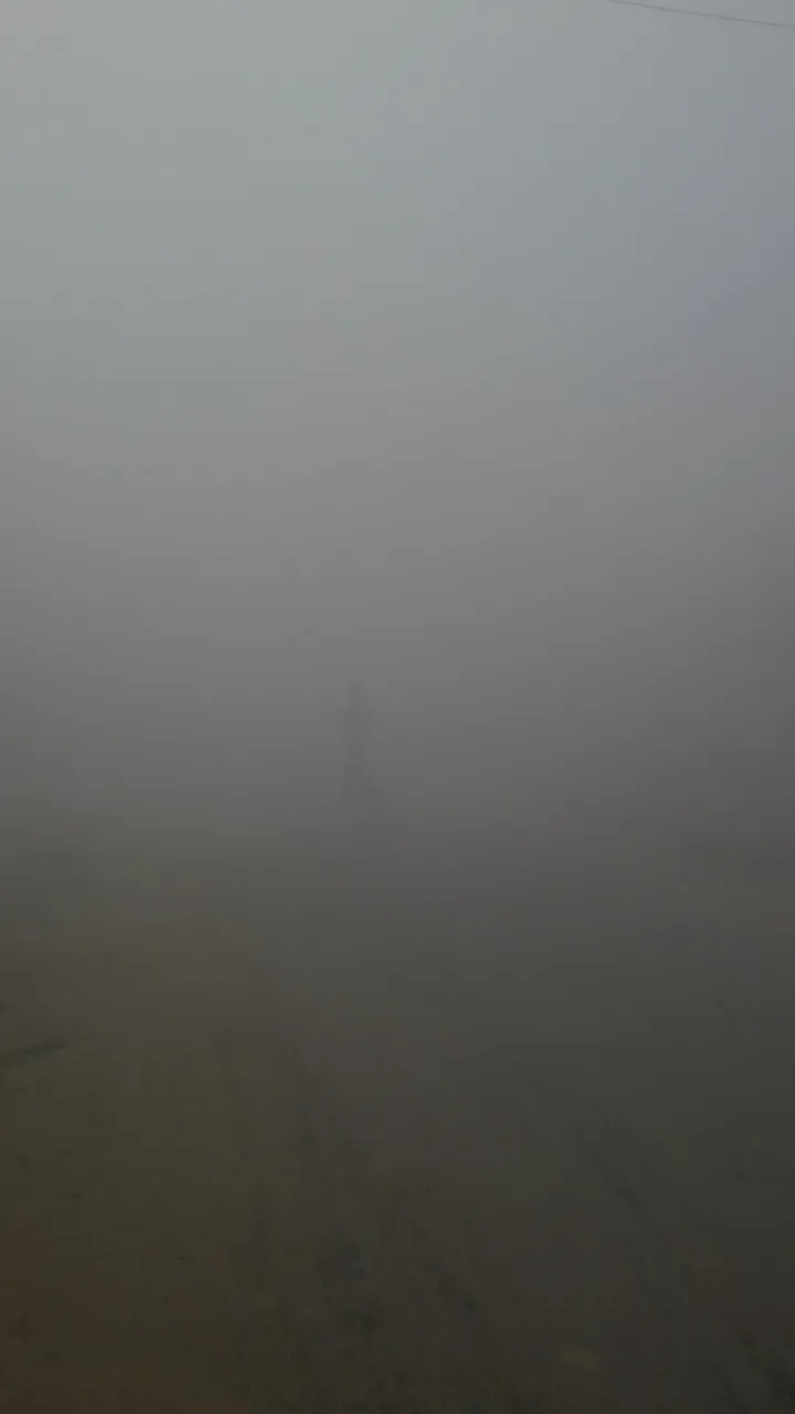 20181227_092138.jpg
