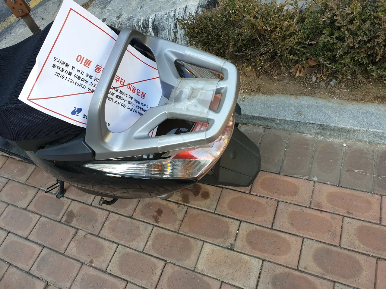 20190125_112047.jpg