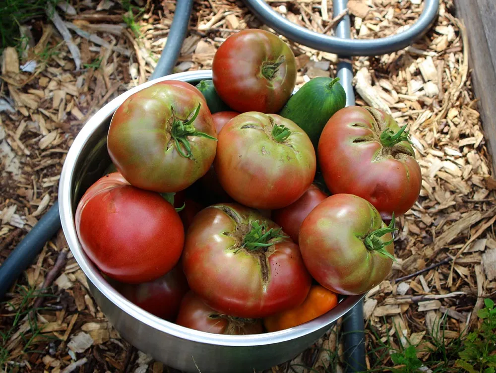 red_homestead12.jpg