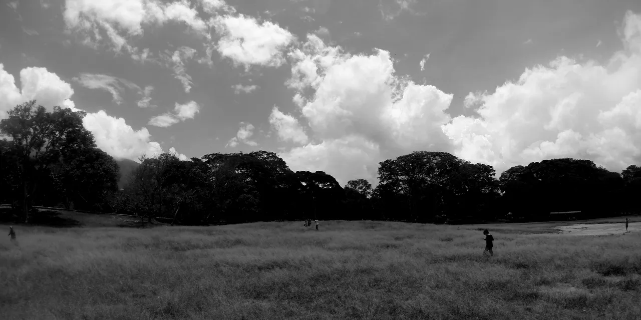 paisaje negro.JPG
