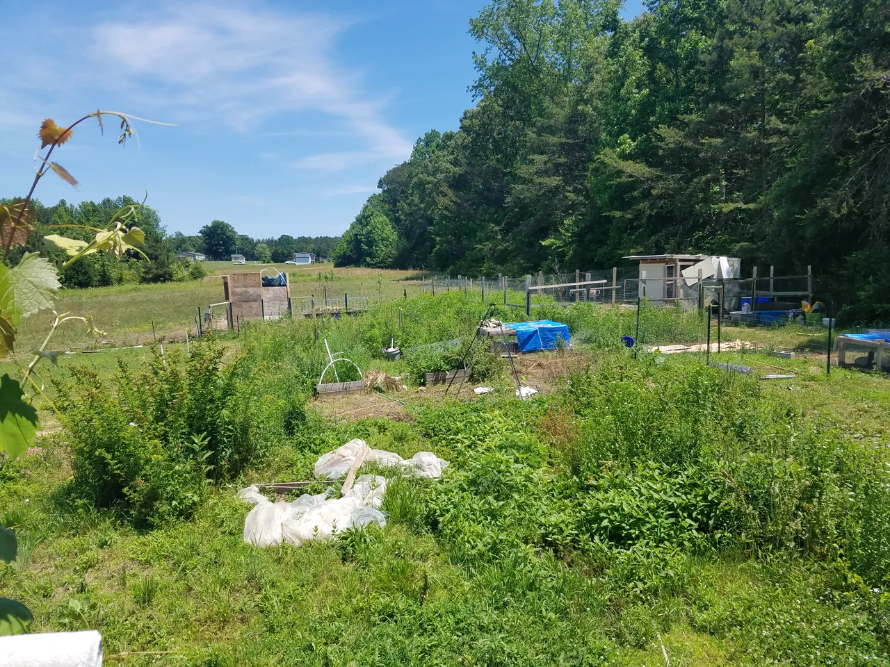 20180524_134506.jpg