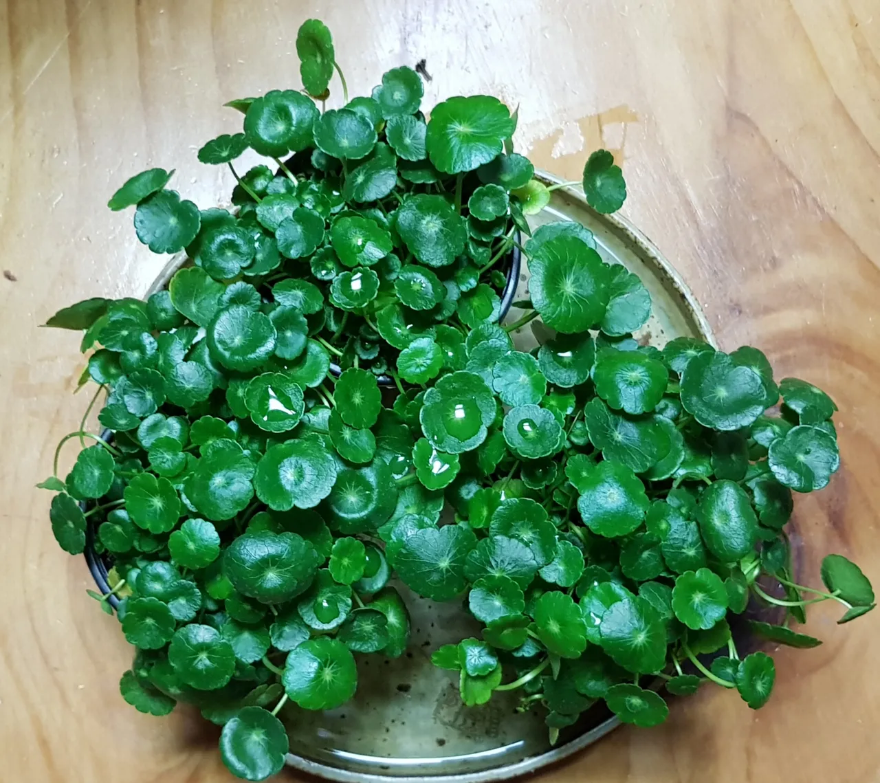 20190321_230958.jpg