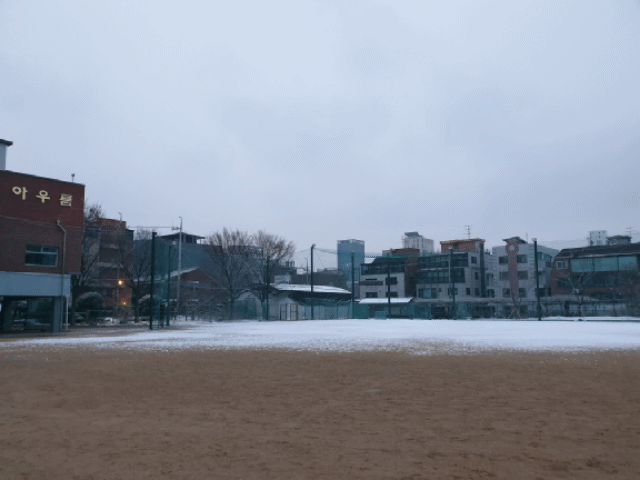 20190219_073113.gif