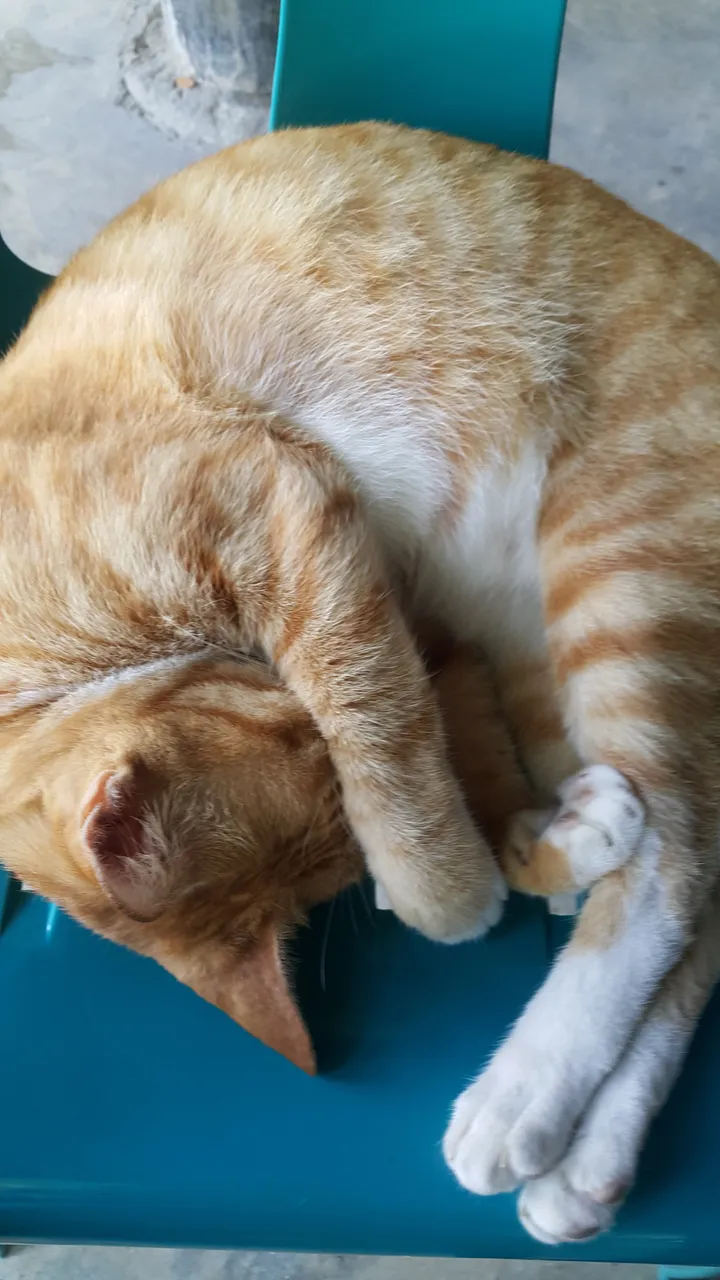 20180419_100629.jpg