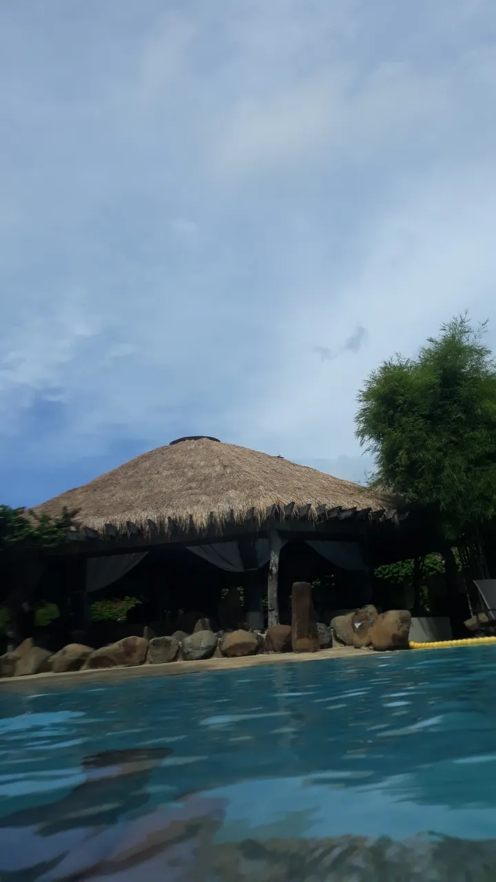 20180528_092208.jpg