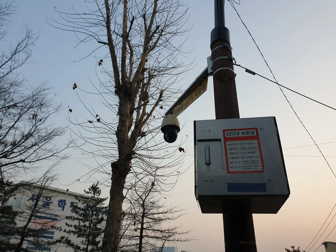 20190123_075201.jpg