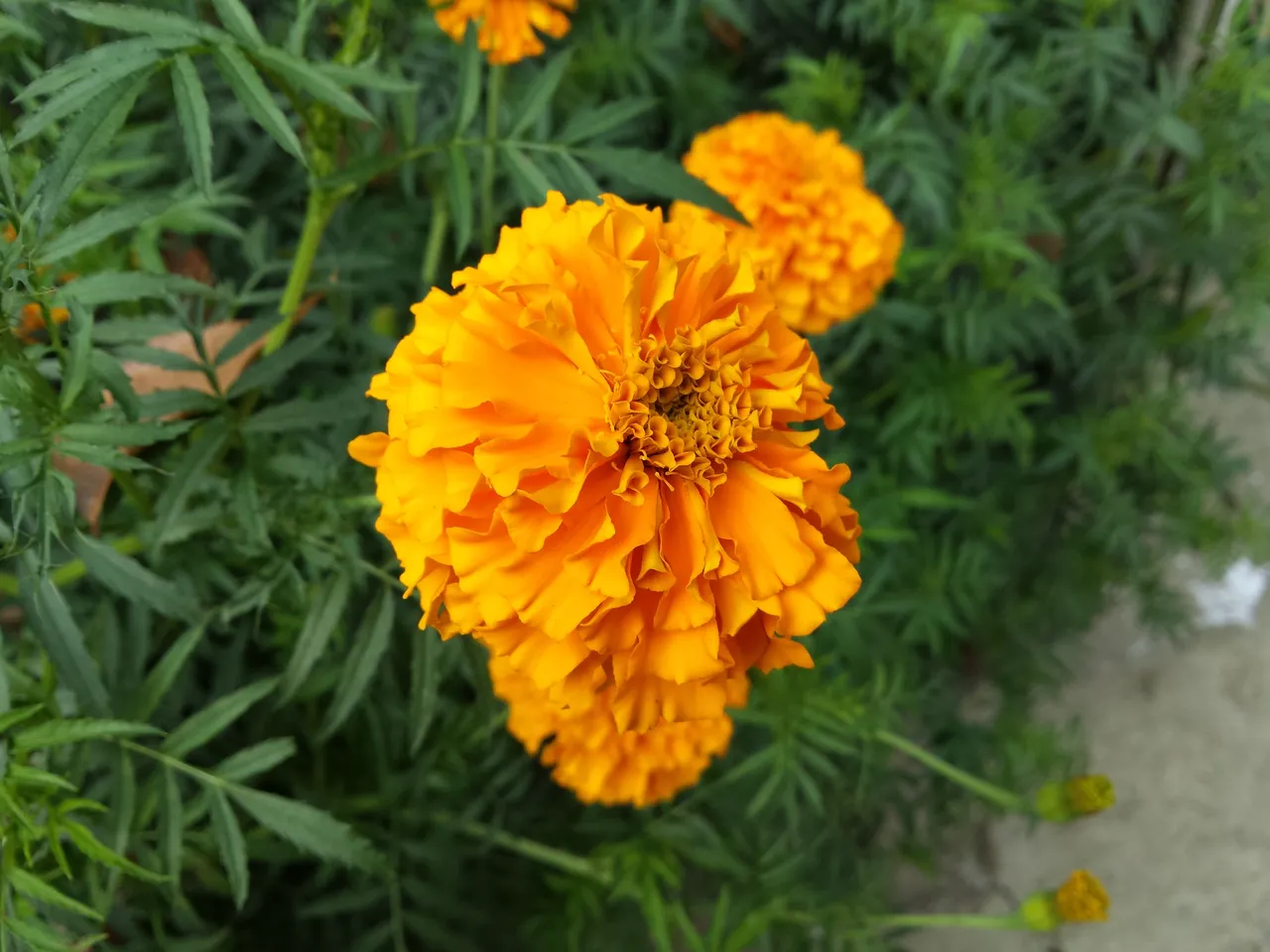 20160128_144624.jpg