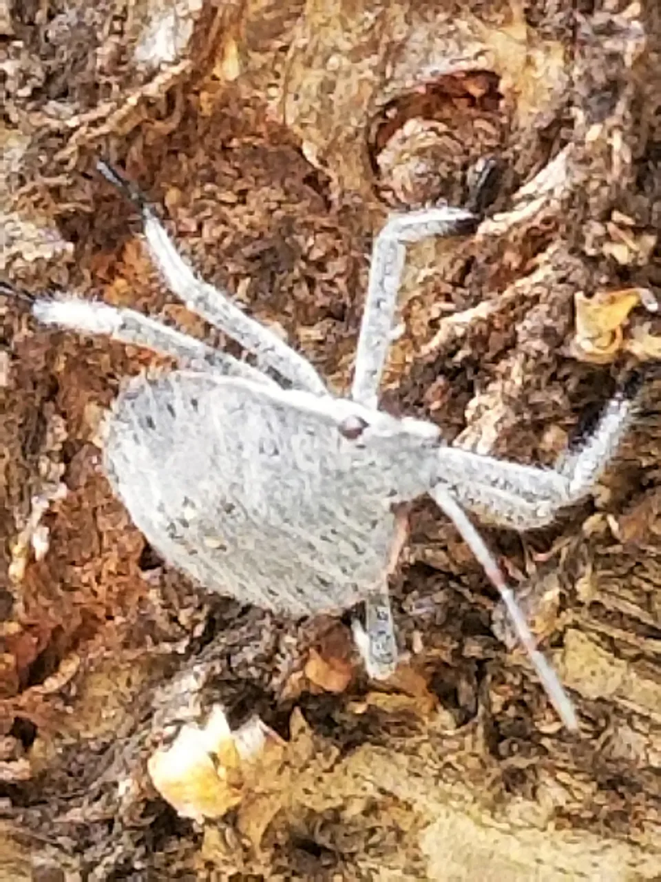 20180812_113949.jpg