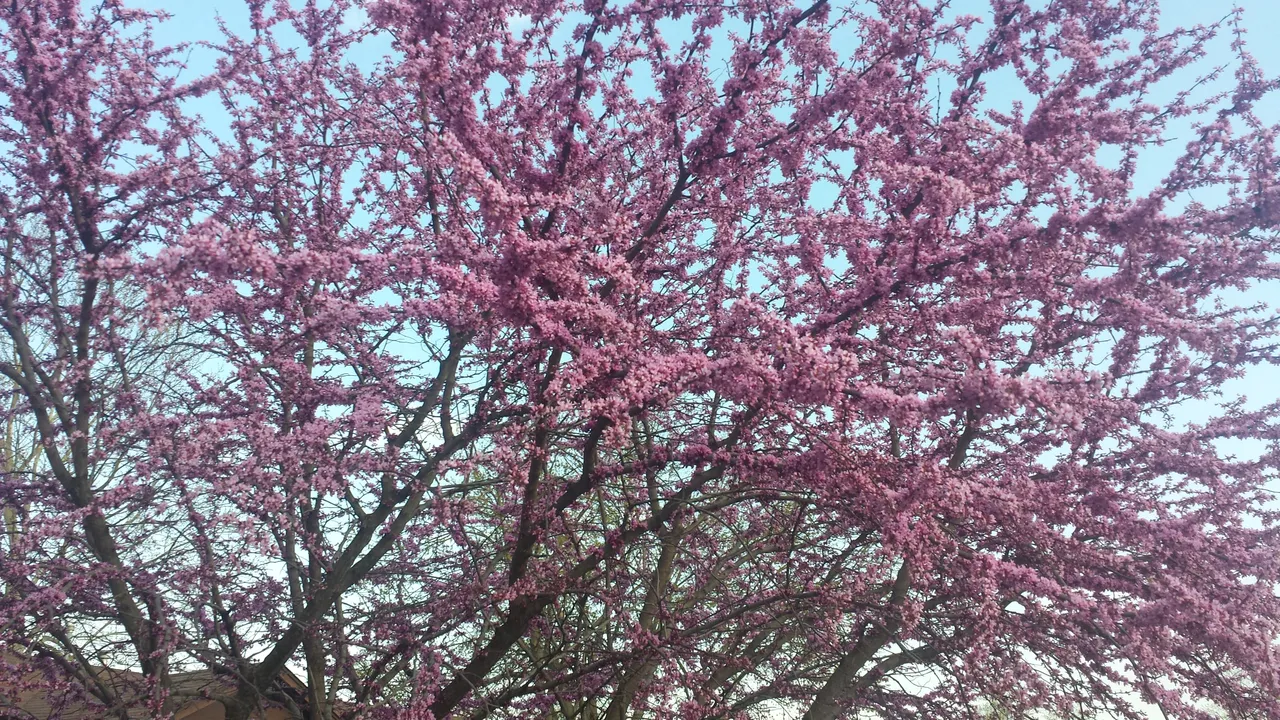 20190404_185103.jpg