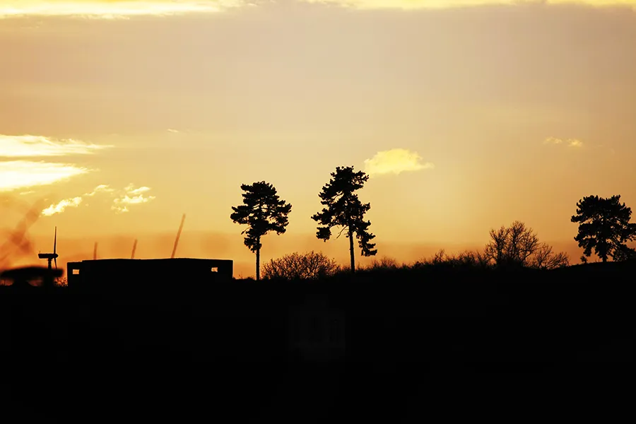 Kt_Roof_ph005_s.jpg