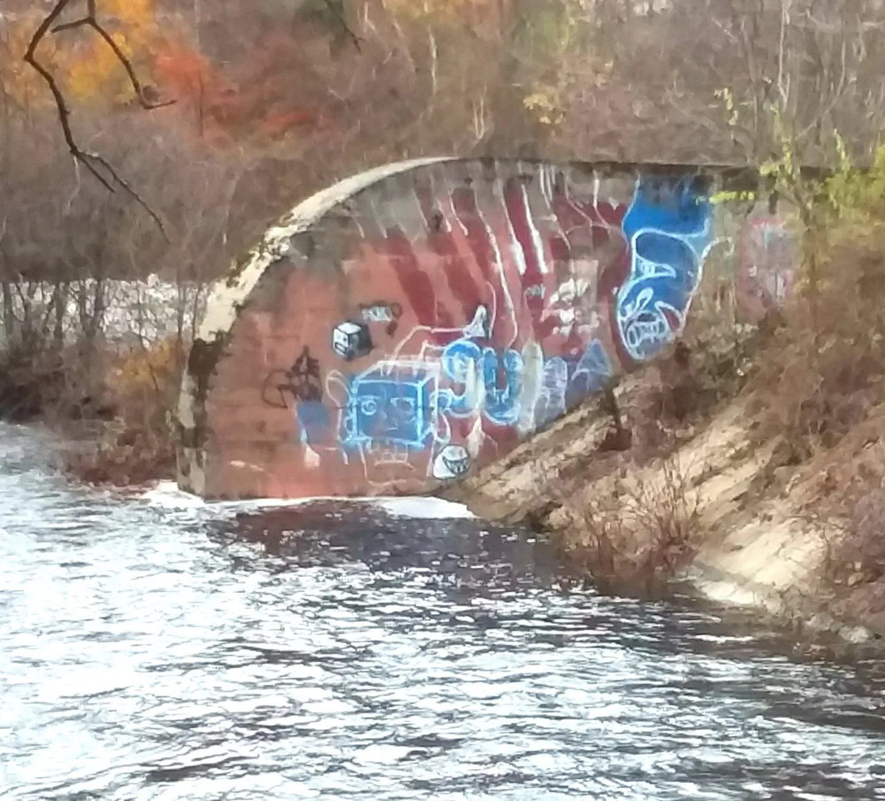 20181110_120954.jpg