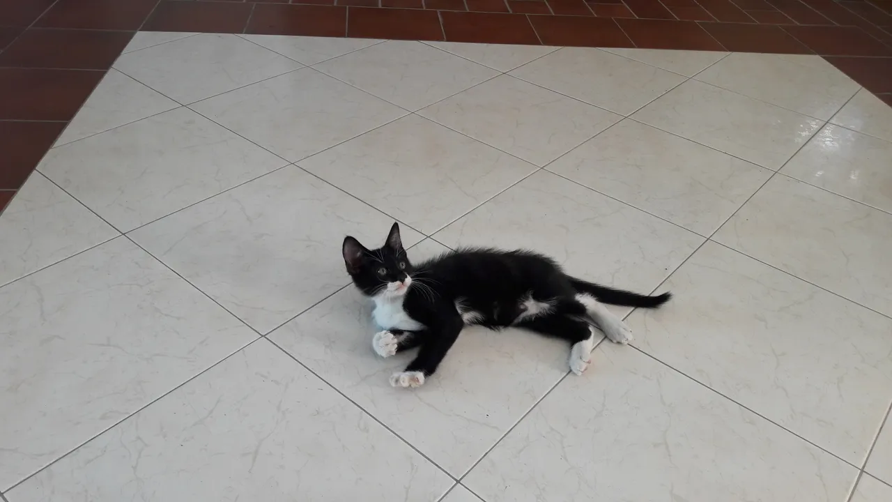 20170905_134739.jpg