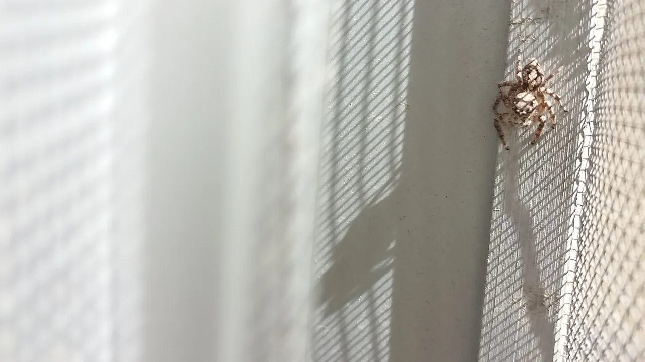20180414_152525.jpg