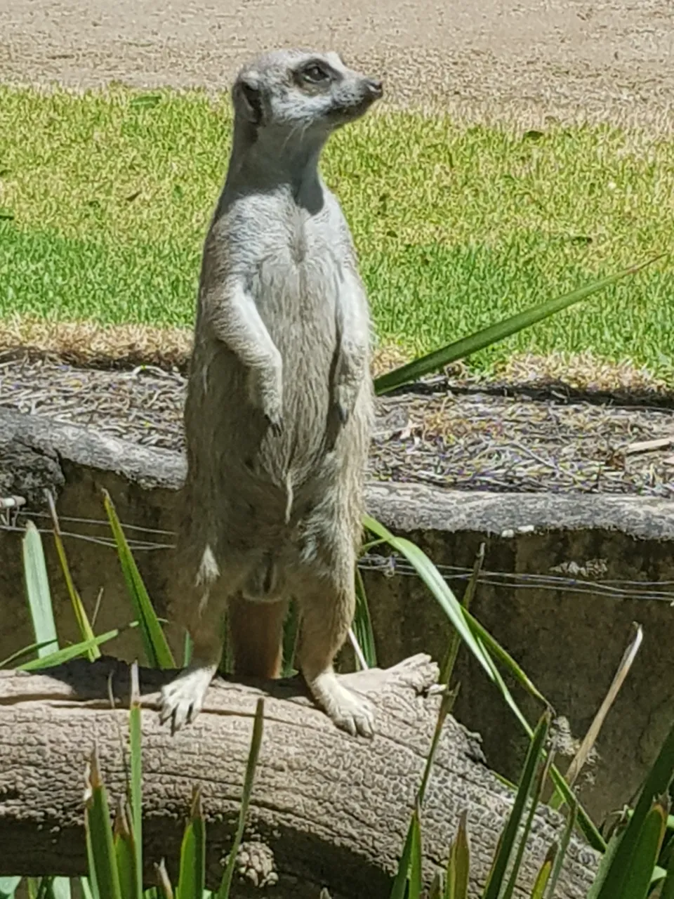 20190105_112605.jpg