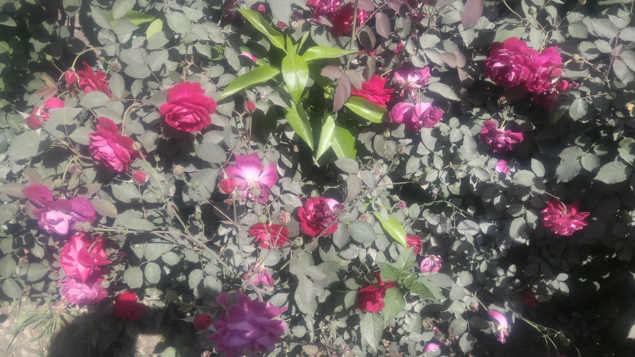 20190402_112348.jpg
