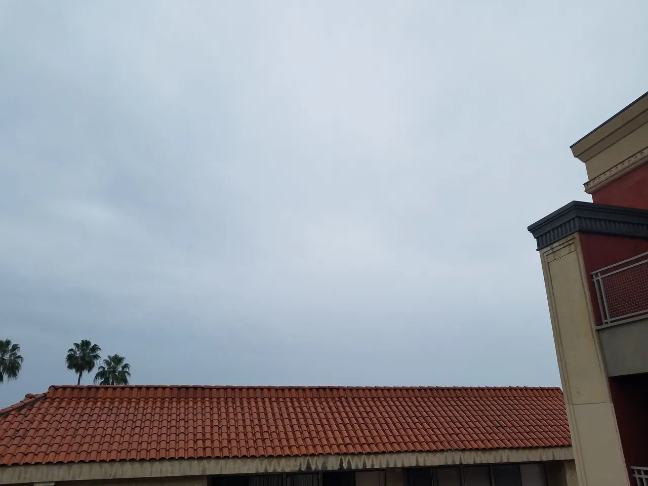 20190213_115010.jpg