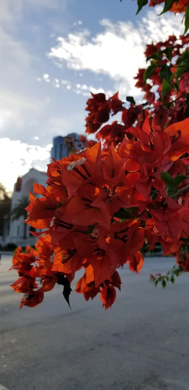 20181115_081147.jpg