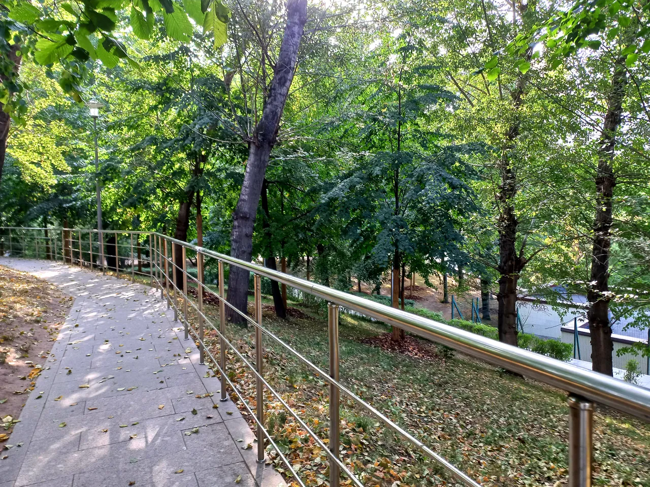 20220828_162711.jpg