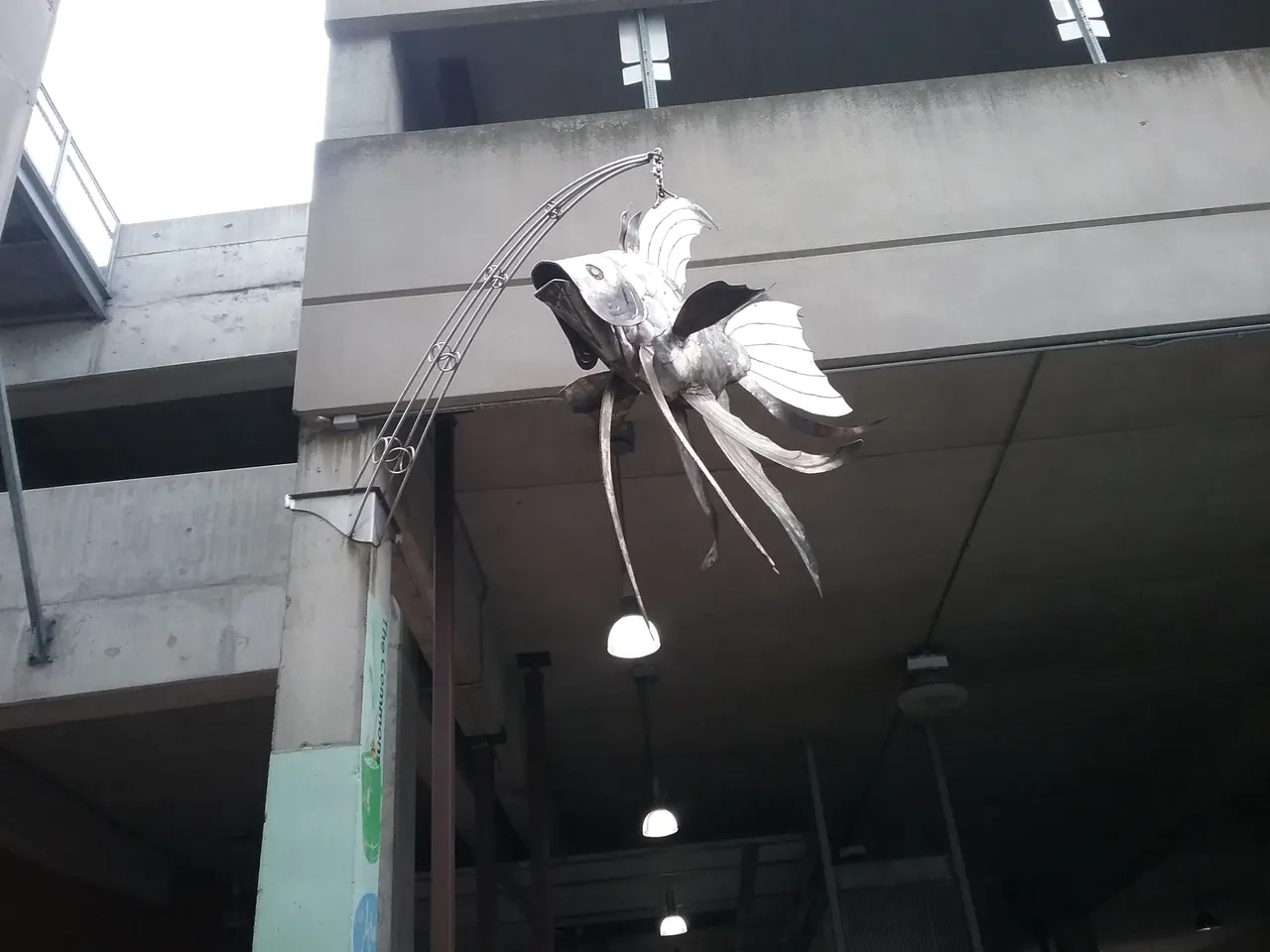 20180415_132143.jpg