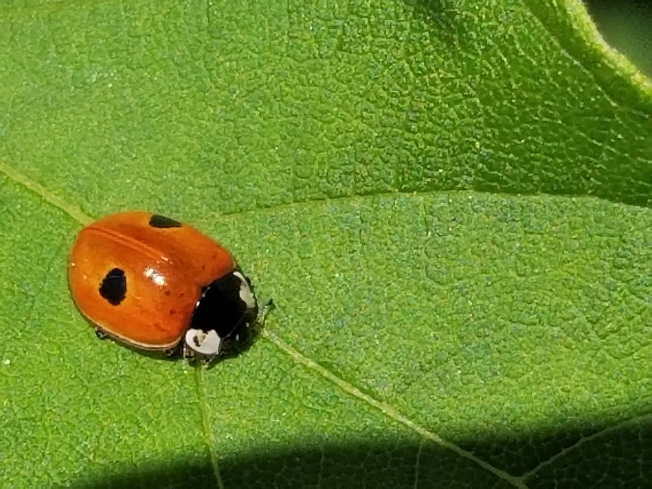20180614_094238.jpg