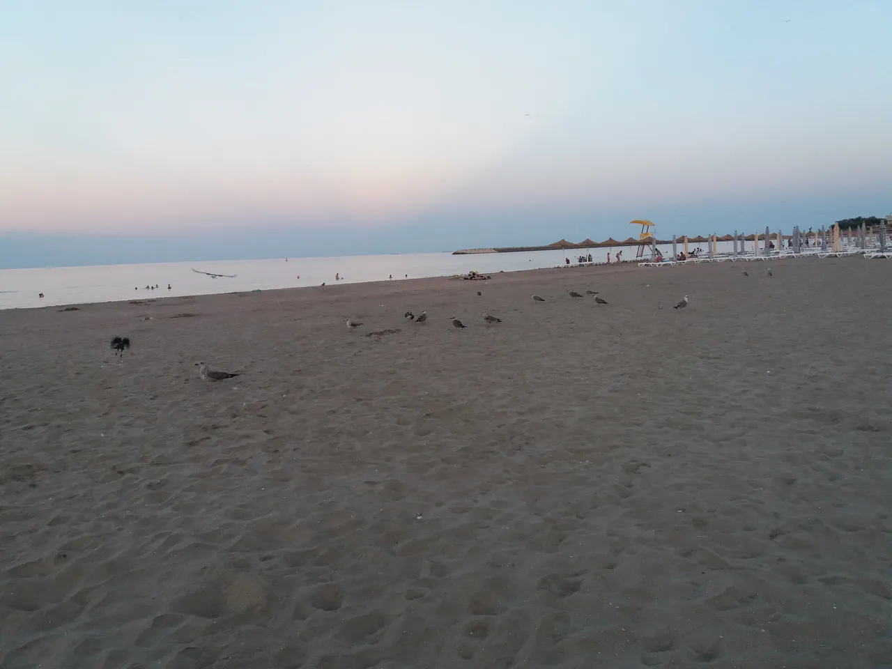 20180730_202751.jpg